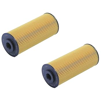 Amazon.com: 2 Pack of BAIZHIHUA EO-1501 Oil Filter Replaces